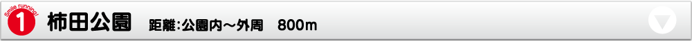 柿田公園