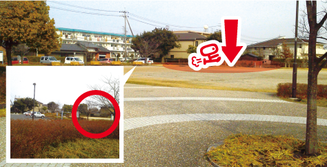 大池公園〜快足ロード